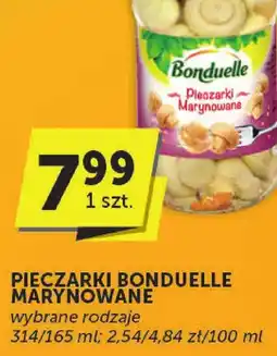 ABC Pieczarki marynowane Bonduelle oferta