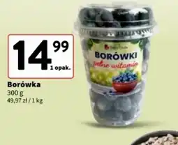 Intermarche Borówka oferta