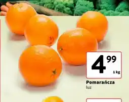 Intermarche Pomarańcza oferta