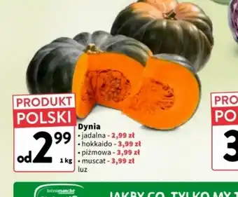 Intermarche Dynia oferta