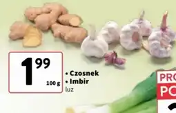 Intermarche Czosnek, Imbir oferta