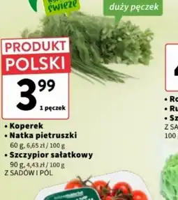 Intermarche Koper, Natka pietruszki, Szczypior sałatkowy oferta