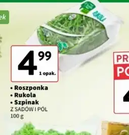 Intermarche Roszponka, Rukola, Szpinak oferta