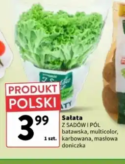 Intermarche Sałata oferta