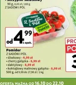 Intermarche Pomidor Z Sadów i Pól oferta