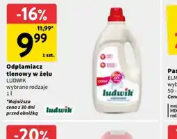 Intermarche Odplamiacz tlenowy w żelu Ludwik oferta