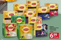 Selgros Herbata owocowa lipton oferta
