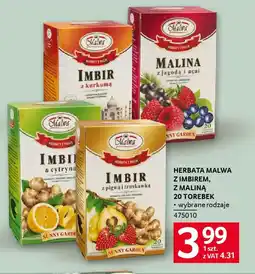 Selgros Herbata malwa z imbirem, z maliną oferta