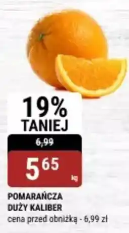 bi1 Pomarańcza duży kaliber oferta