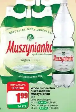 Dino Woda mineralna niskosodowa Muszynianka oferta