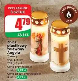 Dino Znicz plastikowy zalewany Angela oferta