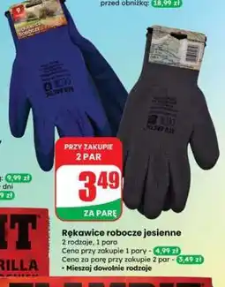 Dino Rękawice robocze jesienne oferta