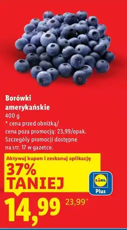 Lidl Borówki amerykańskie Lidl oferta
