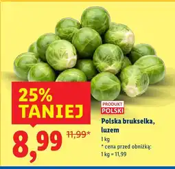 Lidl Brukselka Lidl oferta