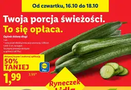 Lidl Ogórek zielony długi Lidl oferta