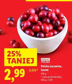 Lidl Żurawina Lidl oferta