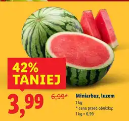 Lidl Arbuz mini Lidl oferta