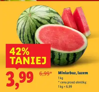 Lidl Arbuz mini Lidl oferta