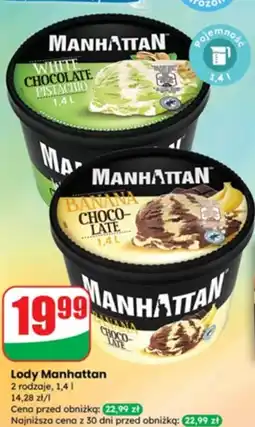Dino Lody 3 rodzaje Manhattan oferta