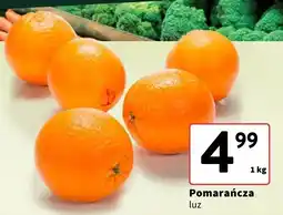 Intermarche Pomarańcze luz Intermarche oferta