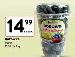 Intermarche Borówki Intermarche oferta