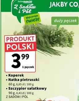 Intermarche Szczypior sałatkowy Z SADÓW I PÓL oferta