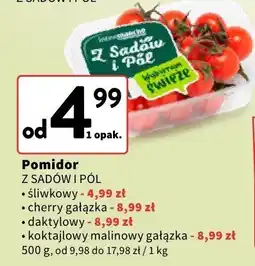 Intermarche Pomidor koktajlowy malinowy gałązka Z SADÓW I PÓL oferta