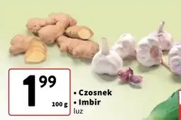 Intermarche Imbir Intermarche oferta