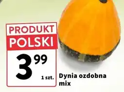Intermarche Dynia ozdobna mix Intermarche oferta