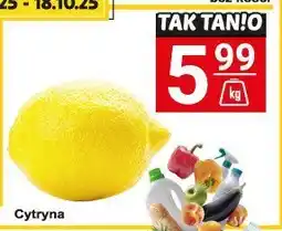 Hitpol Cytryna Hitpol oferta