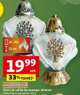 Auchan Znicz drzewko oferta