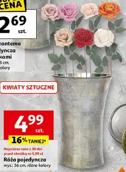 Auchan Róża 56 cm oferta