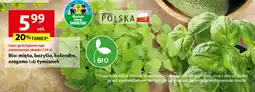 Auchan Tymianek bio Auchan Pewni Dobrego oferta
