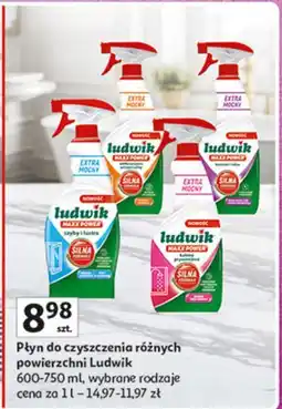 Auchan Spray do kabin prysznicowych Ludwik Maxx Power oferta
