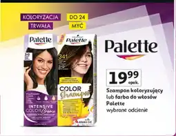 Auchan Szampon do koloryzacji włosów 341 (3-0) Palette Color Shampoo oferta