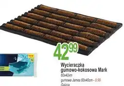 E.Leclerc Wycieraczka james 60 x 40 cm Galicja oferta