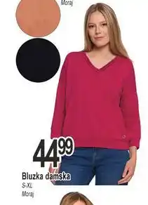 E.Leclerc Bluzka damska rozm. s-xl Moraj oferta