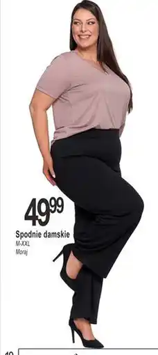 E.Leclerc Spodnie damskie m-xxl Moraj oferta