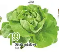 E.Leclerc Sałata masłowa oferta