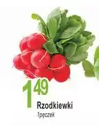 E.Leclerc Rzodkiewka oferta