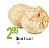 E.Leclerc Seler korzeń oferta