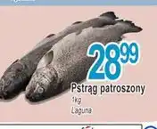 E.Leclerc Pstrąg patroszony Laguna oferta