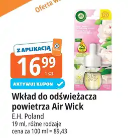 E.Leclerc Wkład biała peonia i kwitnący jaśmin Air Wick oferta