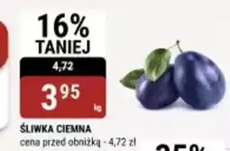 bi1 Śliwka ciemna oferta