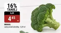 bi1 Brokuł oferta