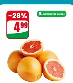 Dino Grapefruit Dino oferta