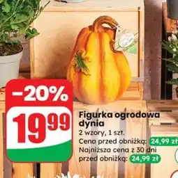 Dino Figurka ogrodowa dynia oferta