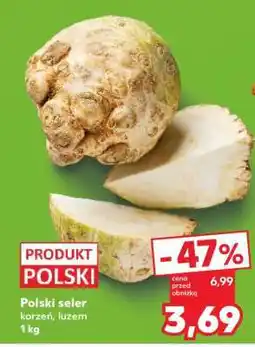 Kaufland Polski seler oferta