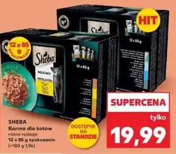 Kaufland SHEBA Karma dla kotów oferta
