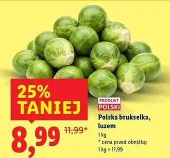 Lidl Brukselka polska oferta